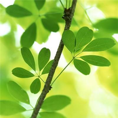 青云三国志内购破解版下载
