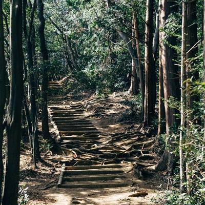 阵线对决手游最新版下载