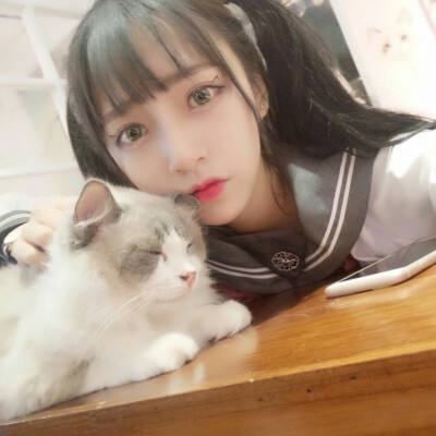 异次元英雄传官方正版下载